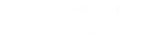 Logo Financiado por la Unión Europea